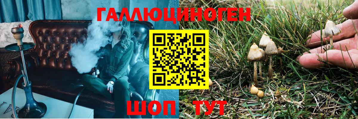 Галлюциногенные грибы MAGIC MUSHROOMS  Вход с VPN  Самара 